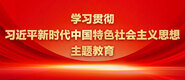 插进动漫少萝阴道网站学习贯彻习近平新时代中国特色社会主义思想主题教育_fororder_ad-371X160(2)